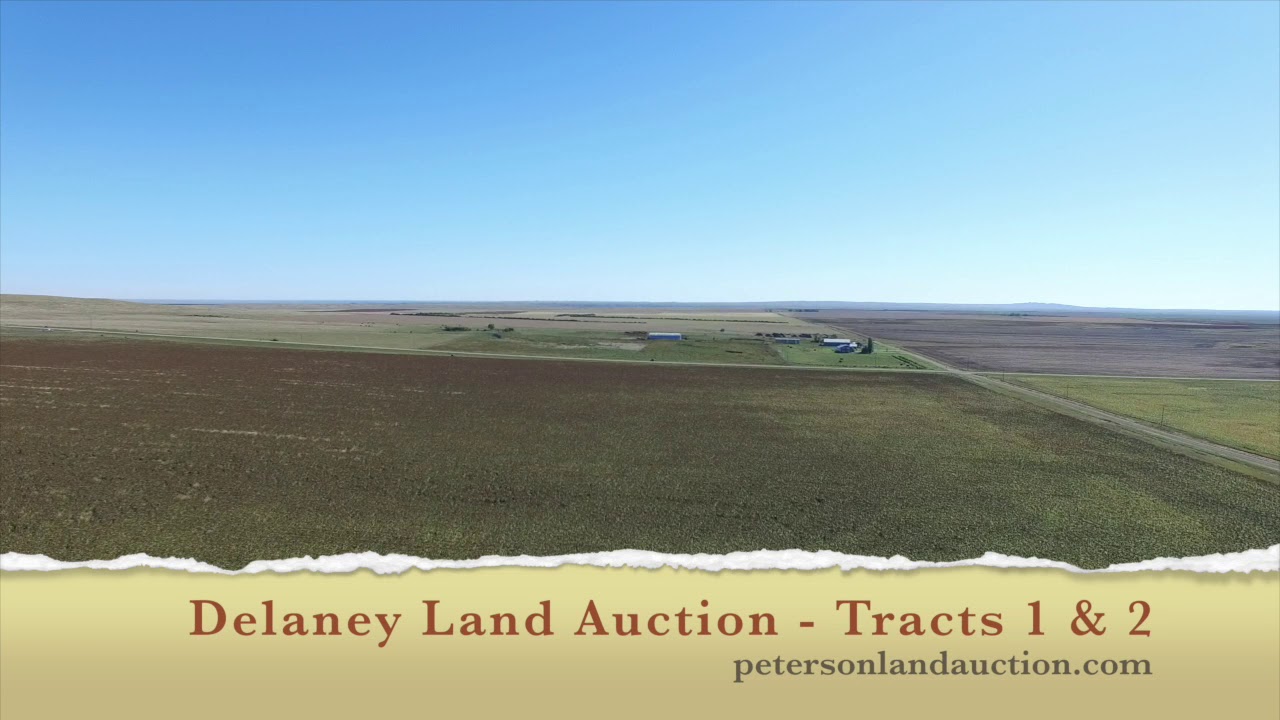 Delaney Land Auction Tracts 1 & 2 YouTube