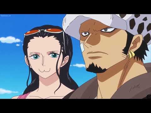 Robin x Law,