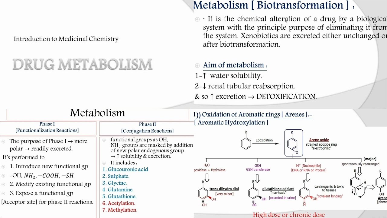5-Introduction to Medicinal Chemistry: Drugs Metabolism - Part 1 