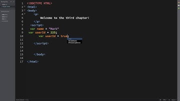 Variable and Comments in Javascript