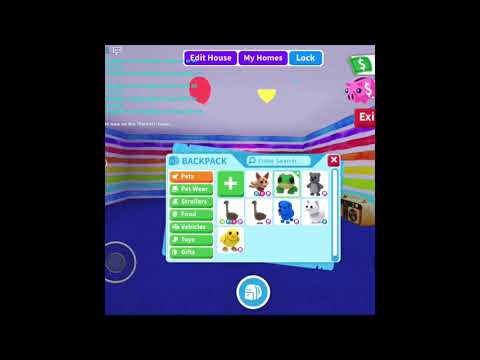 Roblox Adopt Me - how to dress up your pets! - YouTube