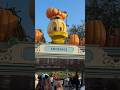 Disneyland 2025 Entering Pumpkins Walking People Watching Main Street USA Walt Disney