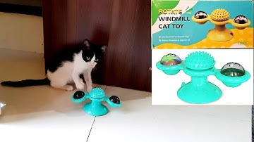 Cat Toy Interactive Rotating Windmill Cat Teasing Toy (Fidget Spinner)