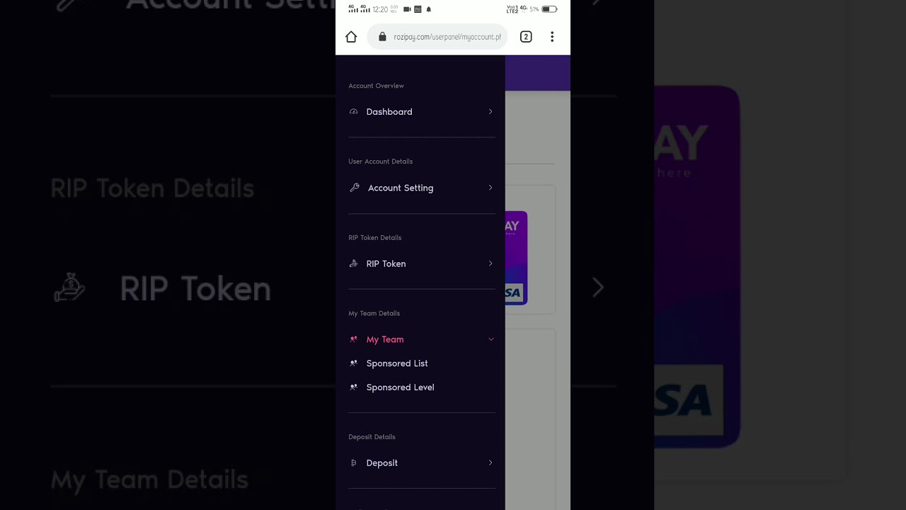 Rozipay 10 days income 17k