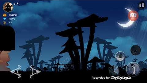 Ninja Arashi chapter 2 level 11