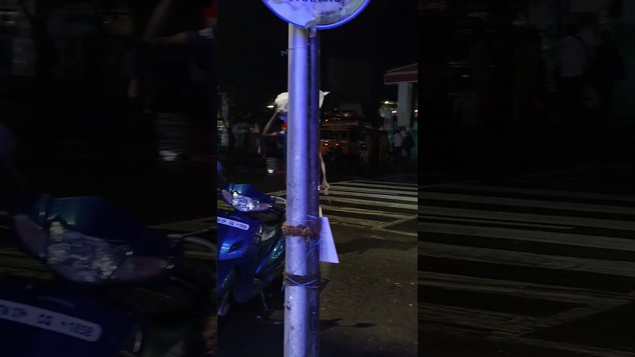 coimbatore singanallur bus stand