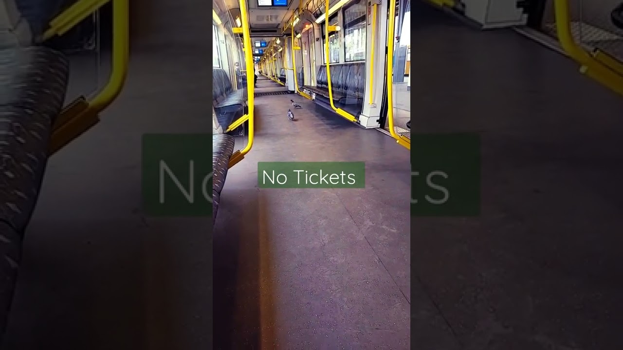 Schwarzfahrer Berlinern U Bahn