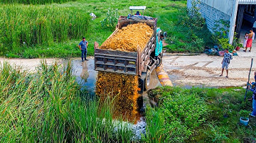 Start a New Project! Filling Land Delete Flooded Pond by Skill Dozer D20P Pushing Stone with Trucks