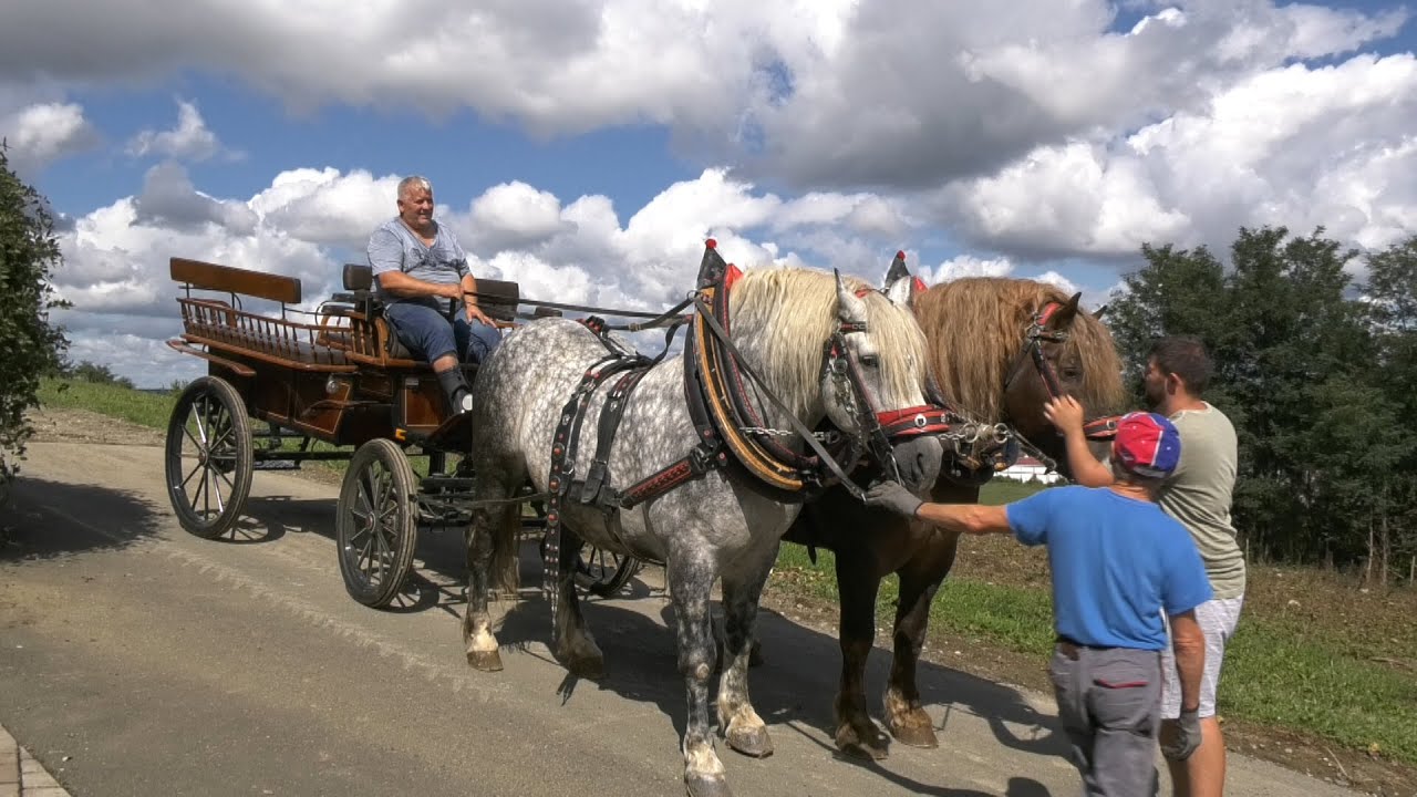 - VOŽNJA KOČIJAMA KOZARSKOM DUBICOM, SOKOL I MARKAN, MEHMEDOVIĆI 2022