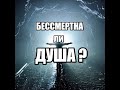 ✅ Бессмертна ли наша Душа ? ✅