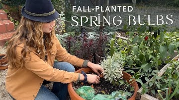 Bulbs | Fall Planting for a Gorgeous Spring Show