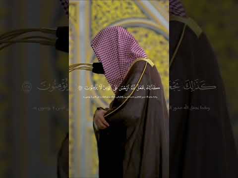 فمن يرد الله أن يهديه يشرح صدره للإسلام ومن يرد أن يضله يجعل صدره ضيقا حرجا كأنما يصعد في السماء 