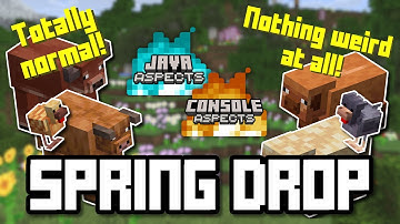 Java and Console Aspects 6.3.0 is TOTALLY NORMAL AND COOL (Minecraft Bedrock: Spring to Life Drop)