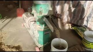 Farming Machine Making Animal Feed Pellets #Youtubeshorts #Farming