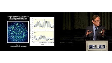 Dr. Joseph Takahashi: Molecular Architecture of the Circadian Clock in Mammals