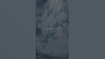 أَلَمۡ تَرَ كَیۡفَ ضَرَبَ ٱللَّهُ | محمد صديق المنشاوي | سورة ابراهيم | نهاوند