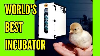 WORLDS BEST INCUBATOR - Unboxing GQF 1502 Sportsmans Cabinet Incubator