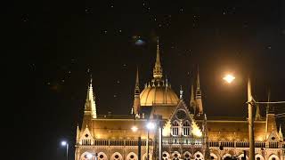 Midnight bird's party in Budapest