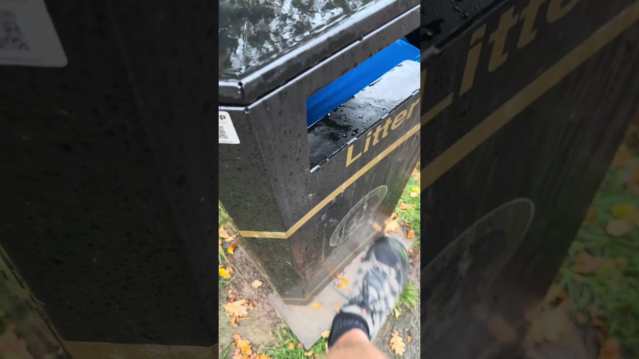 🎶 Music is Everywhere 🎶 