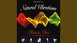 Video thumbnail of "Natural Vibrations - Freedom Fighter"