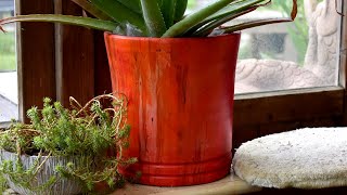 Woodturning - the Purple Poplar FlowerPot