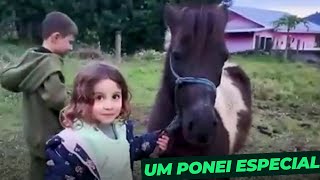 O PONEI E AS CRIANÇAS NO RELLP