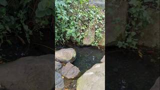 #gravityflowwell, #uganda #safewater #canada #nature #gravityflow