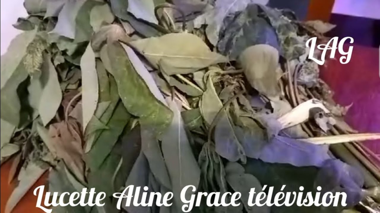 🥗Le pondu traditionnel de maman Lucette préparé à kinshasa rdc Congo 🇨🇩