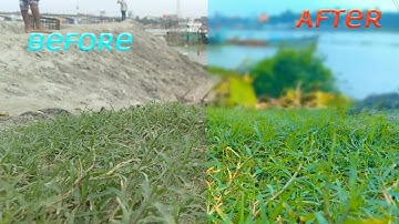 How to Colour grading your video using mobile. Kinemaster bangla Tutorial.sohidul hasan.video edit