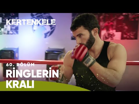 Ringlerin kralı geri döndü | Kertenkele 60. Bölüm 🦎