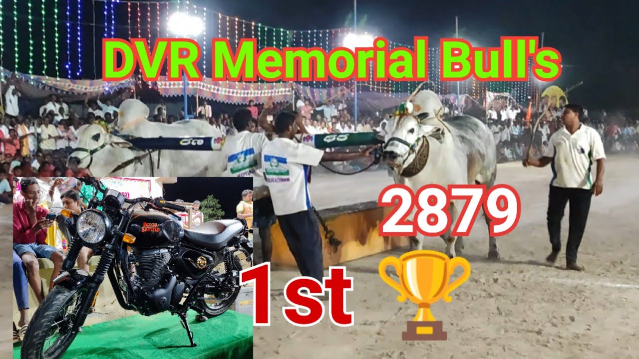 7.1st 🏆 winner DVR memorialbullskanuru, penamuluru, Vijayawada......in Akulaganpavaram