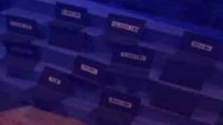 Meal or No Meal - Don't take the offer too soon!