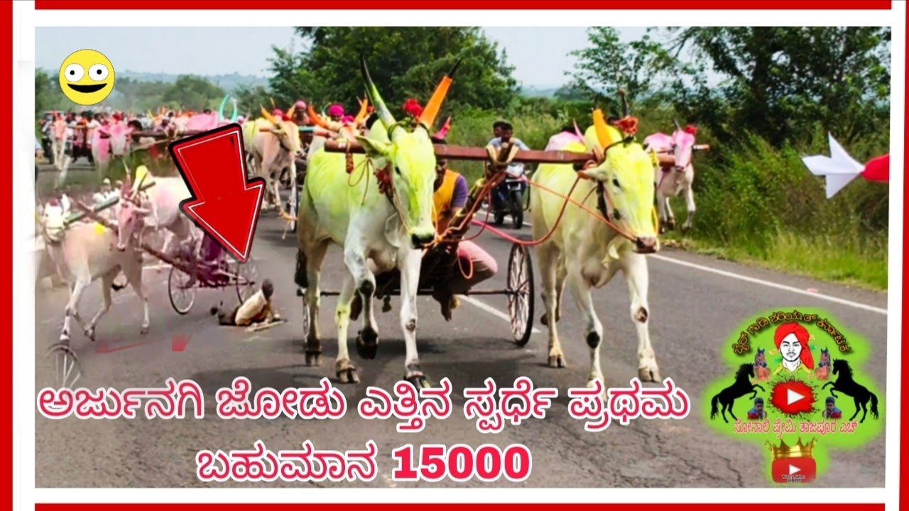 👑ಅರ್ಜುನಗಿ ಜೋಡಿ ಎತ್ತಿನ ಸ್ಪರ್ಧೆ ಪ್ರಥಮ ಬಹುಮಾನ 15000🥇🚩😔