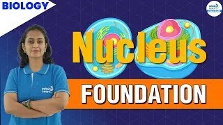 Famous #Nucleus || Class 9 Science || Deveeka || Infinity Learn 9 & 10 Net Worth