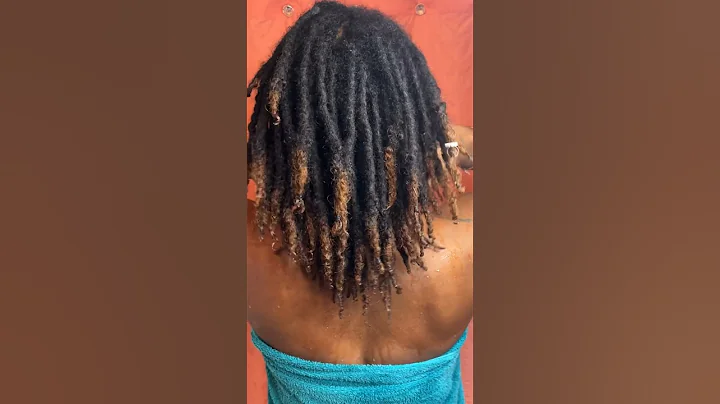Retwist like a PRO! WASH & RETWIST Routine 2023 #locs #locjourney #retwist