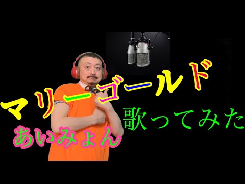 マリーゴールド あいみょん歌ってみたvlidge kyu