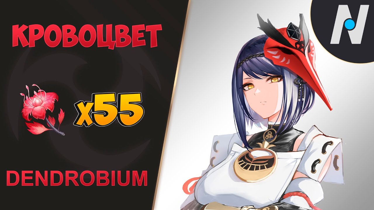 Кровоцвет карта геншин импакт