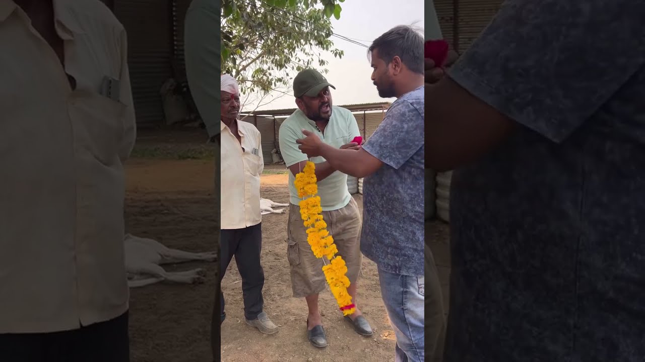 मला  हार घालून दिल्या शिव्या केस करण्याची दिली धमकी अस का करायला लागलात 🥹🥺😑😡😡 #vaishuluckyofficial