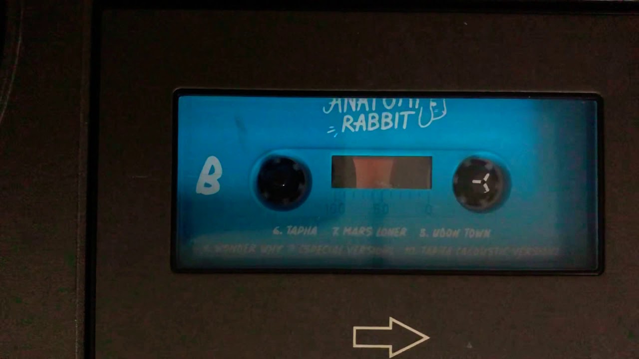 เสียงเทป wonder why anatomy rabbit