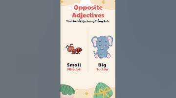 Học từ vựng các Tính từ đối lập trong Tiếng Anh nhé