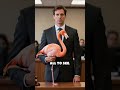 The Bizarre Flamingo Theft Dismissal