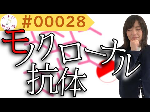 【免疫組織化学】Part３！結局、モノクローナル抗体とポリクローナル抗体ってどう違うん？# 00028