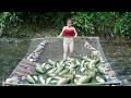 TIMELAPSE: Incredible Fishing Technique Using Stones in the Stream / Harvesting A Lot Of Big Fish