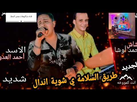 طريق السلامه يا شويه اندال