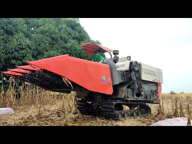 Best Quality Kubota Corn Harvesting Factory Wholesale Combine Corn