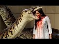 Anakonda snake attack on a village girl in the forest|urdu and hindi stories|एनाकोंडा ने एक गाँव