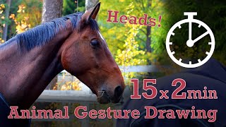 Animal Drawing References #60 - 15x2min poses - Horse Heads Animal Drawing References #60 - 15x2min poses - Horse Heads