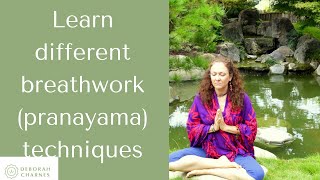 Pranayama (breathwork) tutorials