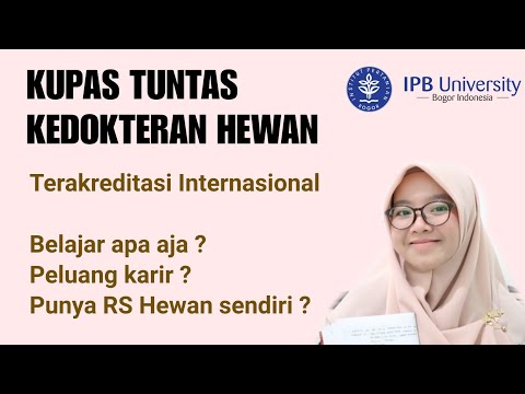 Video: 5 Cara Luar Biasa Ilmu Kedokteran Hewan Dapat Membantu Hewan Peliharaan Kita