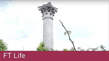 What happens to the plants after Chelsea Flower Show?